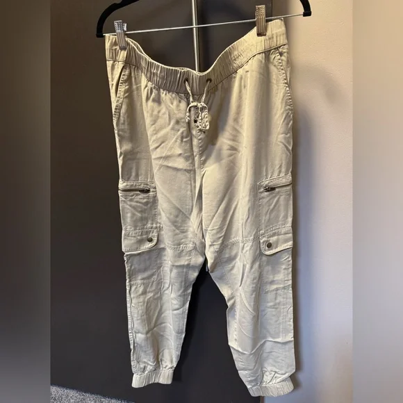 Banana Republic Factory TENCELT™ CARGO JOGGER Size L - Khaki - Great Condition - Picture 2 of 7